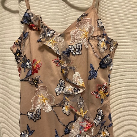 A.B.S Collection Pale Blush Floral Embroidered Midi Mesh Dress - Picture 2 of 6